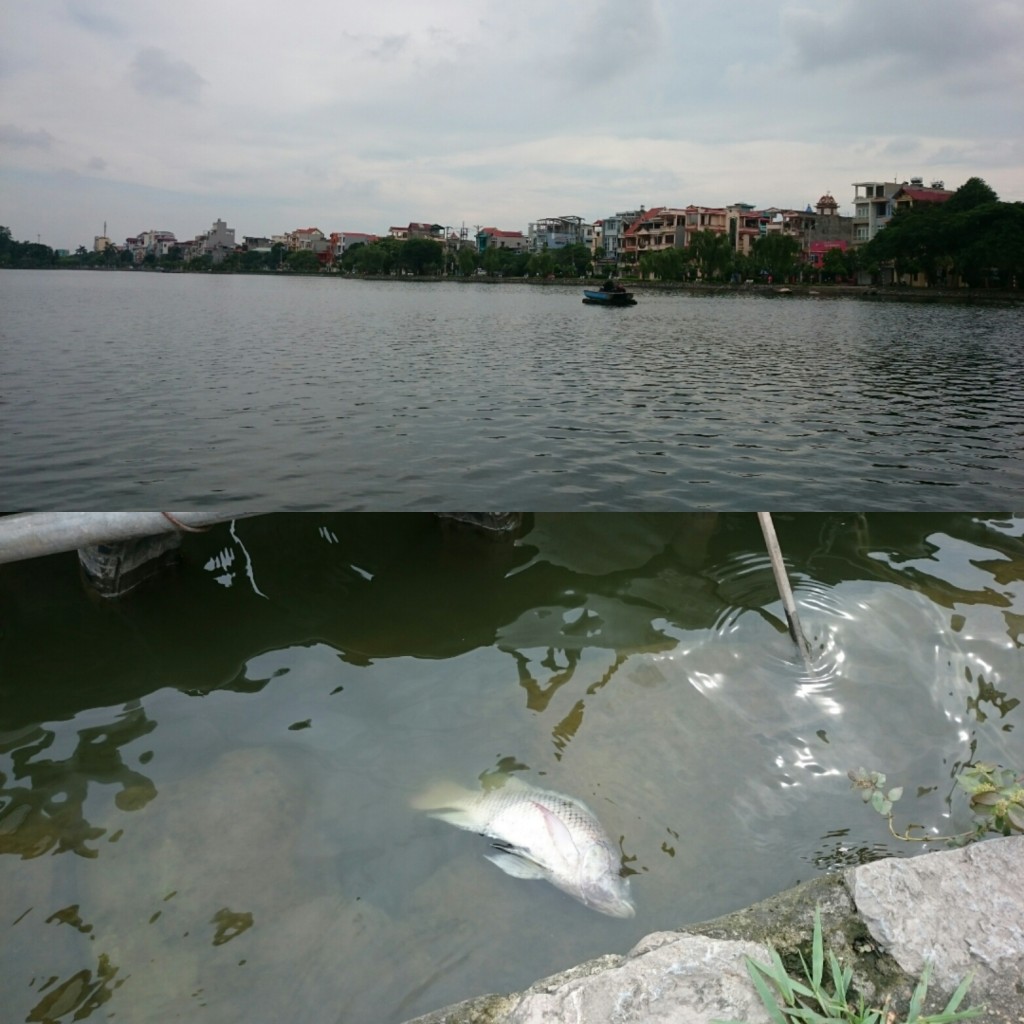 Jezero v Hai Duongu aneb Jezero převrácené ryby. 